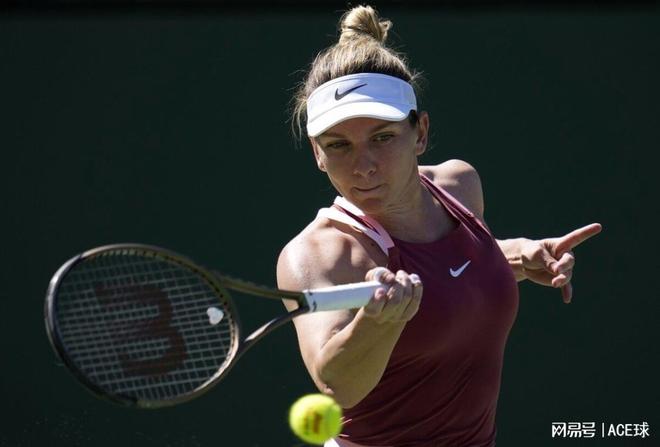 但不足以支 但不足以支