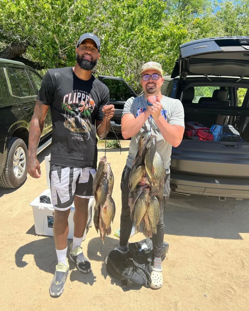 同样精彩 同样精彩