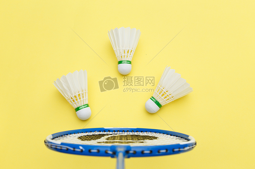 培养与青训 培养与青训